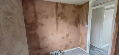 Plastered ceiling and coving detail